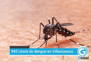 945 casos de dengue