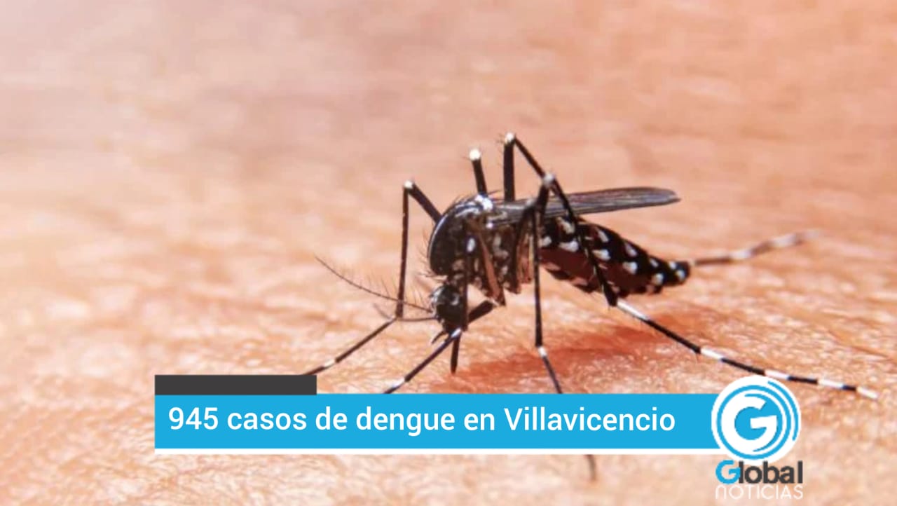 945 casos de dengue